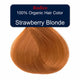 Strawberry blonde hair colour with Radico branding on a white background.