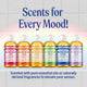 Six Dr. Bronner's Magic Soap bottles in different scents (Rose, Tea Tree, Citrus, Green Tea, Peppermint, Lavender) lined up on a white shelf against a light tiled background.