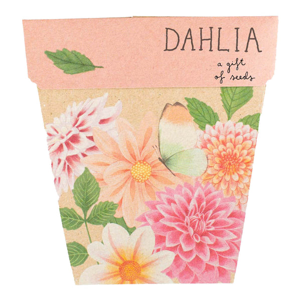 sow dahlia seeds Sow 'n Sow Gift of Seeds - Dahlia