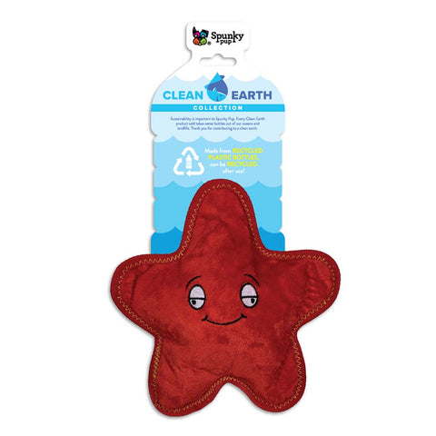 Clean Earth Starfish Dog Toy
