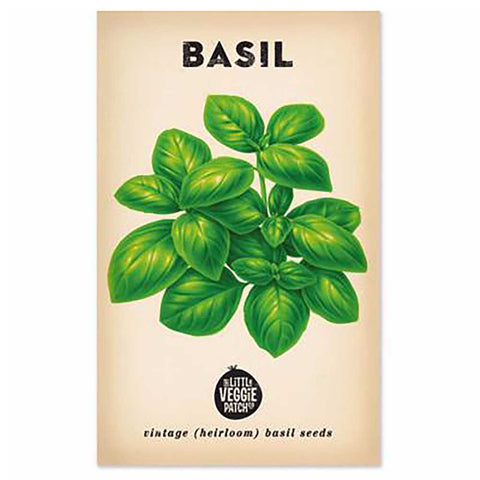 Basil 'Lge Sweet Genova' Heirloom Seeds