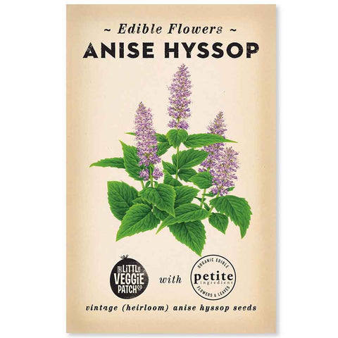 Anise Hyssop Heirloom Seeds